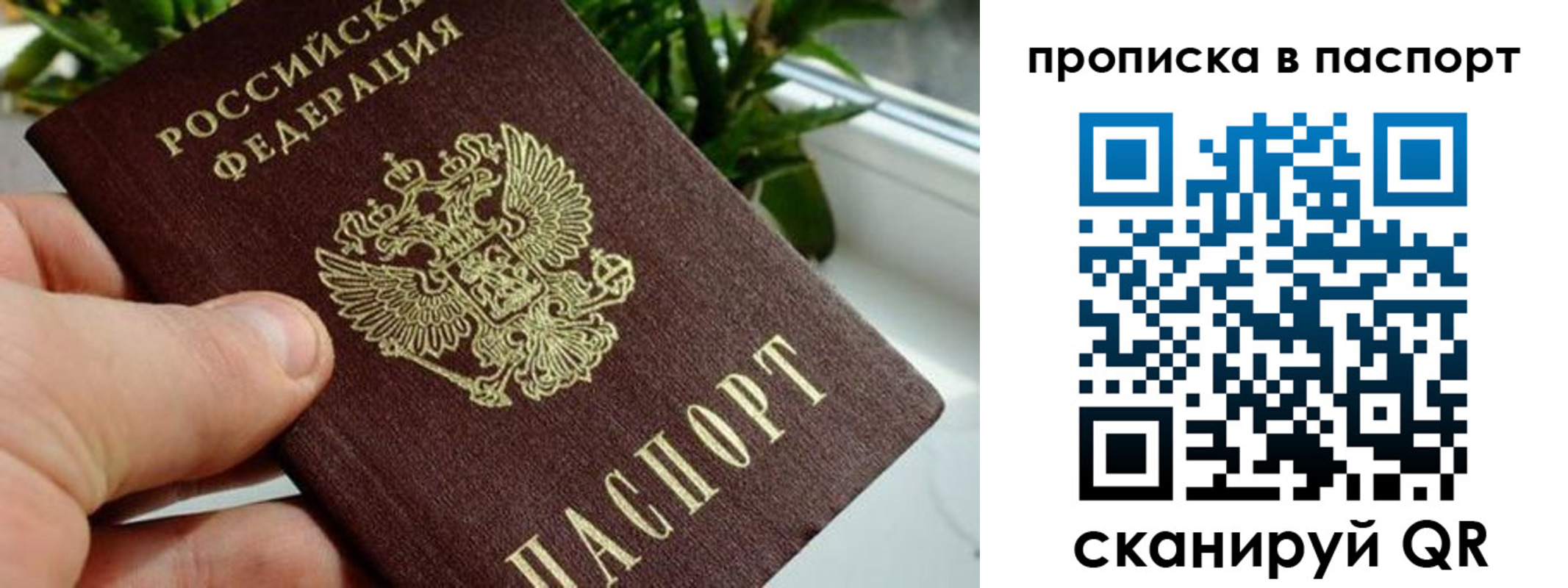 пропишу в квартире в Калининградской области